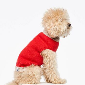 Pull en laine pour chien Mark R. - Rouge 2