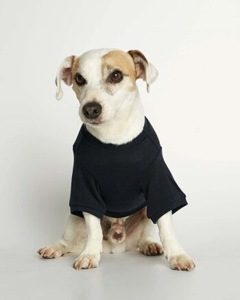 T-shirt basique pour chien en coton bio bleu marine Eva 1