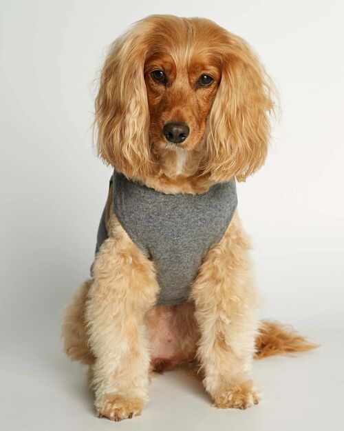 Agnes Grey Merino Wool - Cashmere Dog Bodysuit Vest