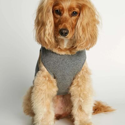 Agnes Grey Merino Wool - Cashmere Dog Bodysuit Vest
