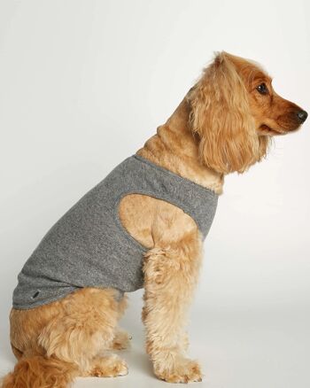 Agnes Grey Laine Mérinos - Gilet body en cachemire pour chien 2