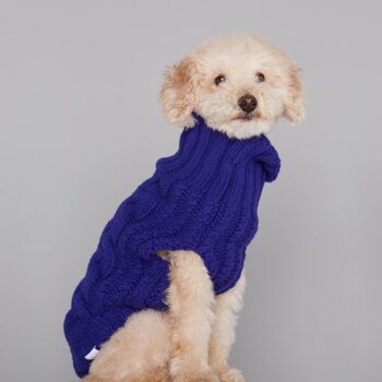 Pull pour Chien en Laine et Cachemire John B. - Bleu 2