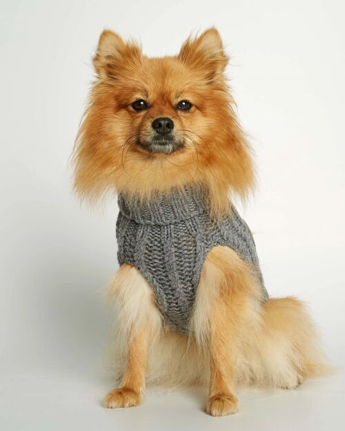 John B. Grey Merino Wool and Cashmere Dog Winter Sweater