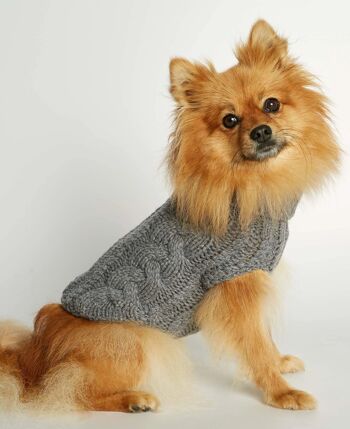 Pull d'hiver pour chien en laine mérinos et cachemire gris John B. 2