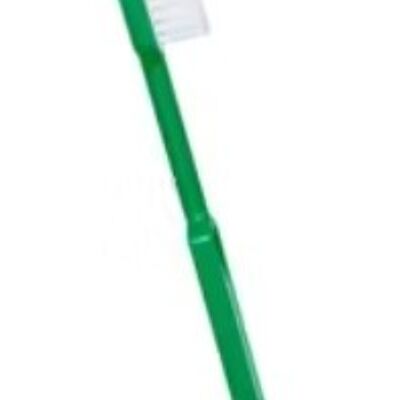 Confezione da 10 spazzolini da denti ricaricabili in bioplastica Caliquo verdi - SOFT