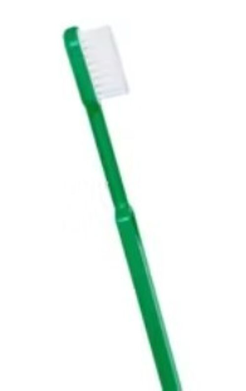 Sachet de 10 Brosse à dents rechargeable bioplastique Caliquo verte - MEDIUM