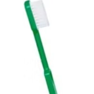 Bag of 10 green Caliquo bioplastic refillable toothbrushes - MEDIUM