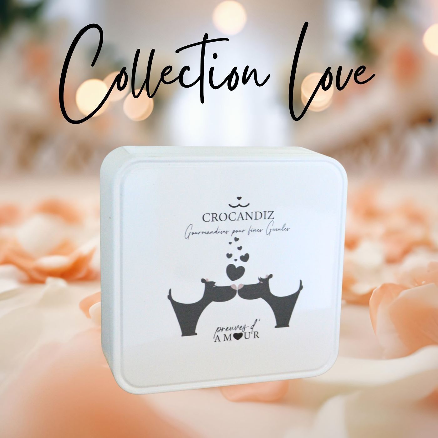 Scatola di biscotti per cani