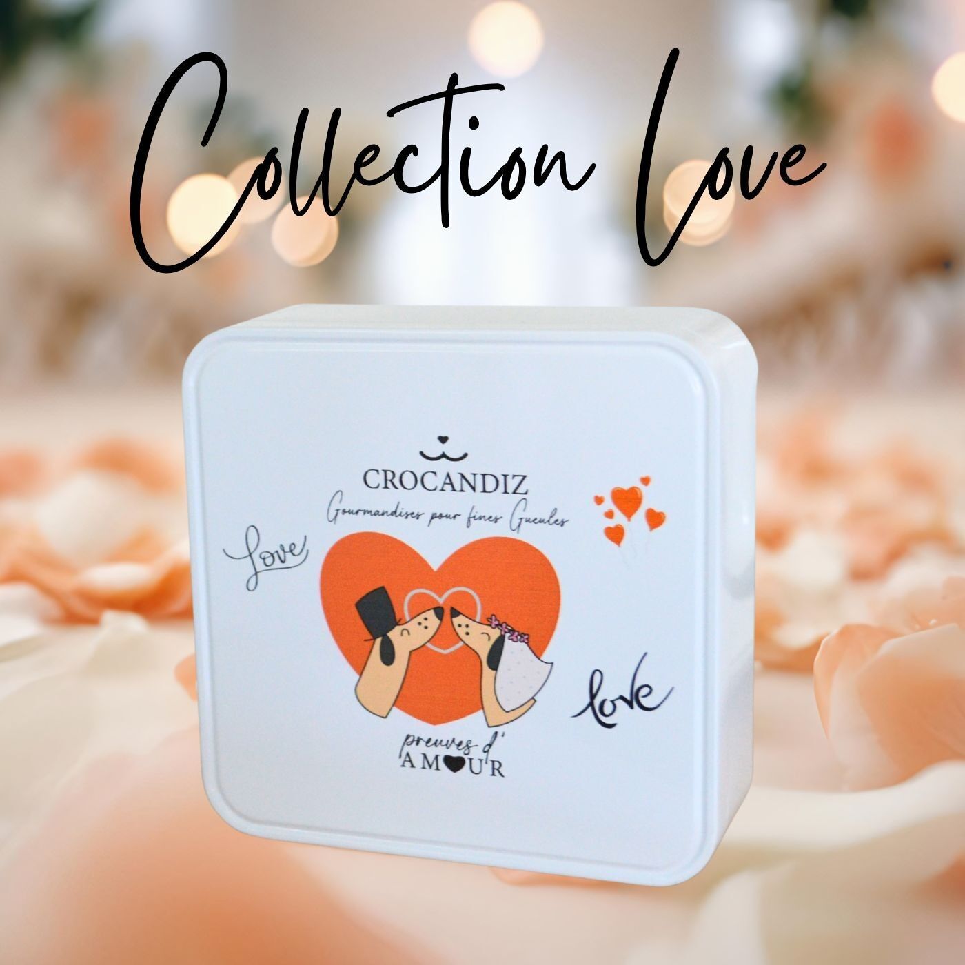 Scatola di biscotti per cani