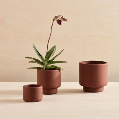 Vaso per piante in porcellana Botany Medium