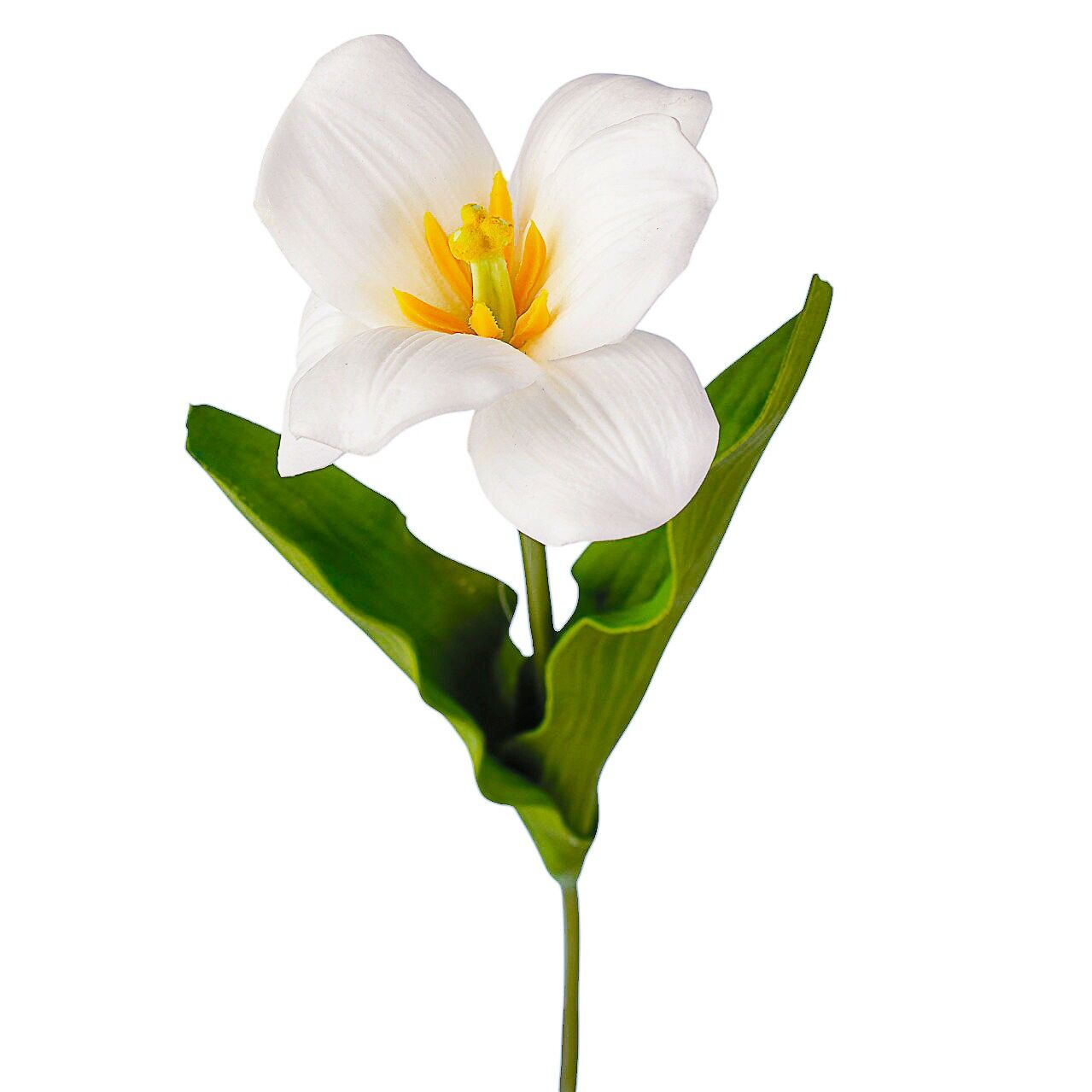 Tulipano completamente aperto Real Touch, 44 cm di altezza - Bianco