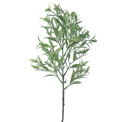 Branche de plante artificielle Podocarpus, hauteur 54 cm