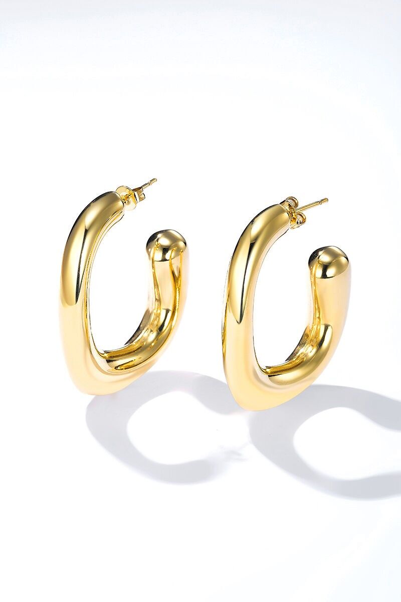 Orecchini in acciaio inossidabile 124AQ398