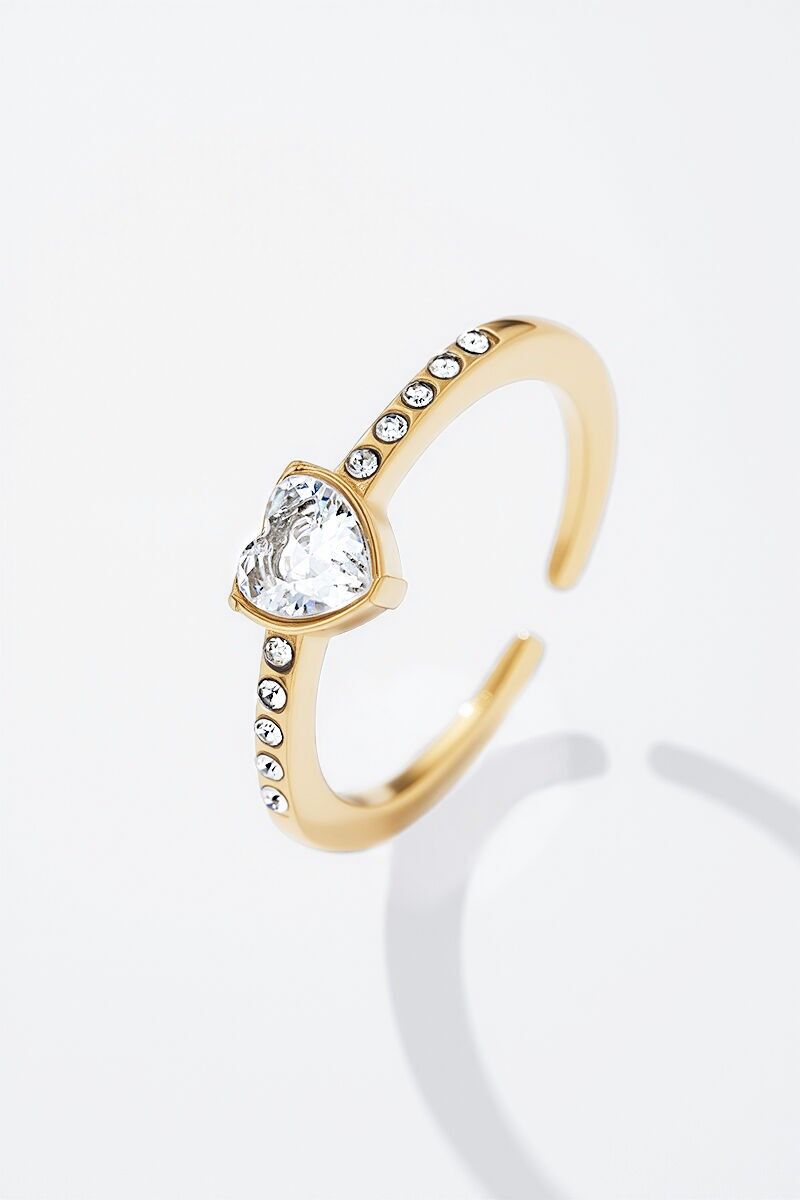 Anello in acciaio inossidabile 424CA40