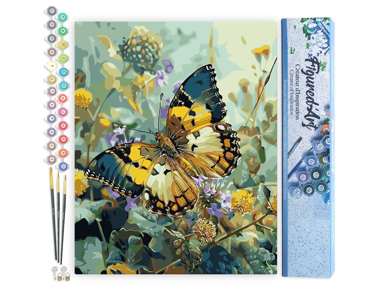 Kit fai da te per dipingere con i numeri - Farfalla Janetta Forester - Tela arrotolata