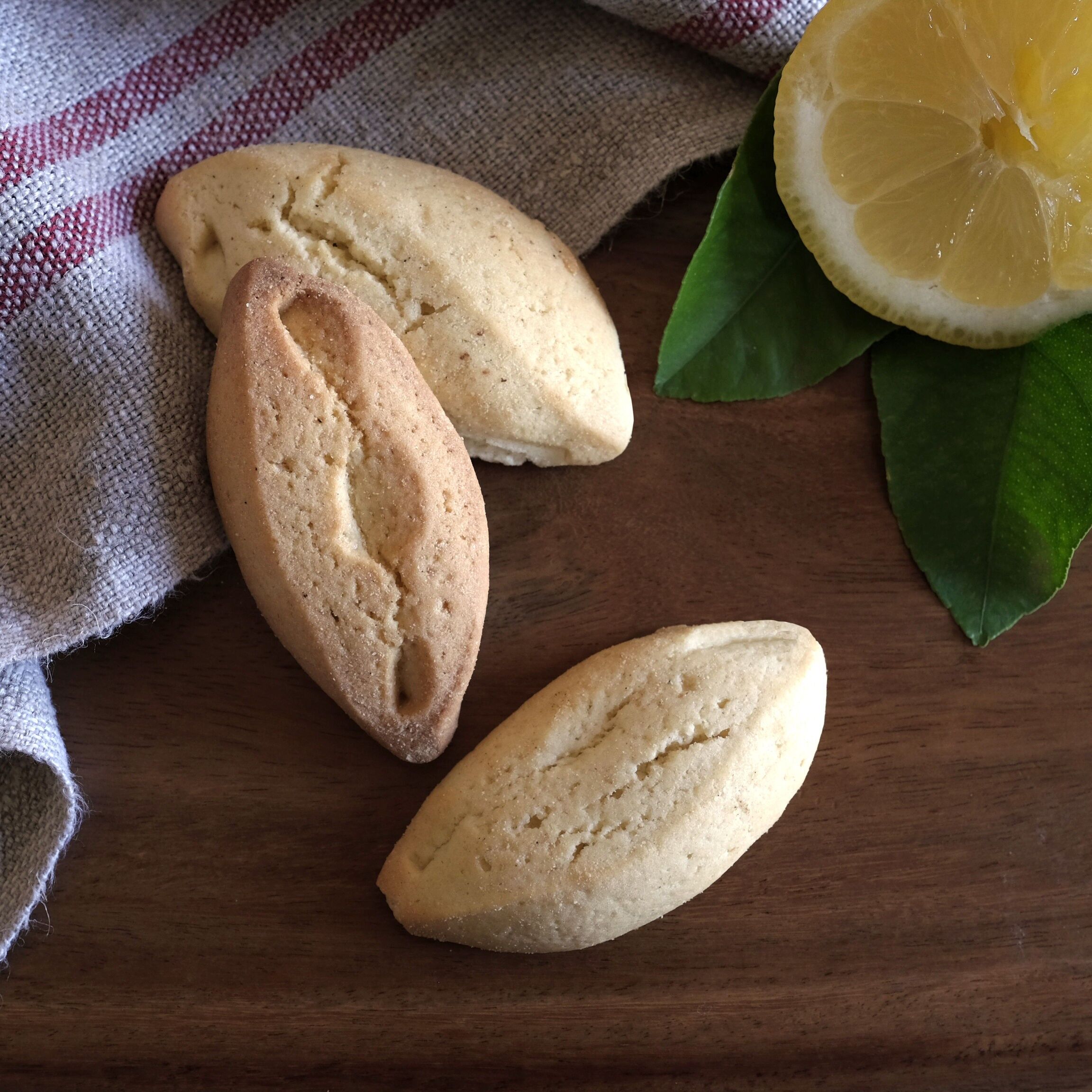 Großmengen-Zitronen-Shuttle