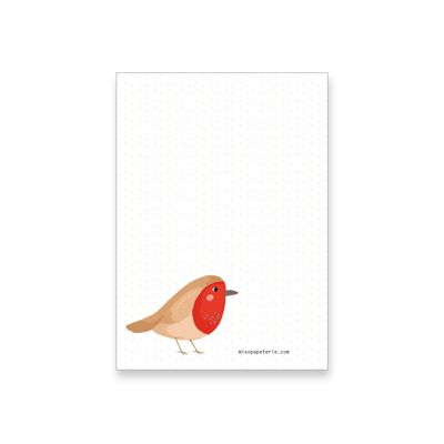 Rotkehlchen | Block A6