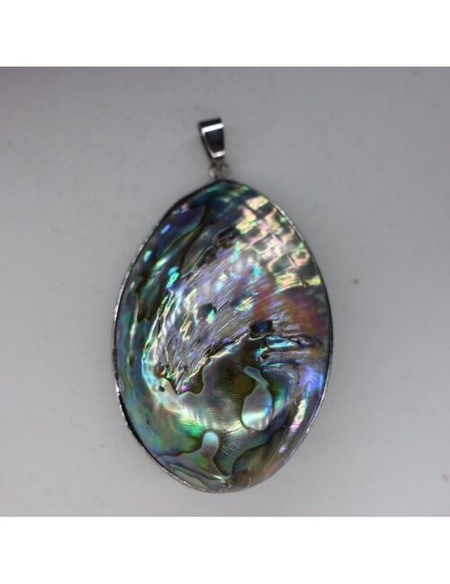Pendentif Nacre (coquille double pendentif ou a poser) A