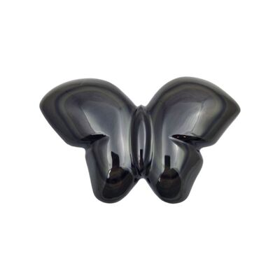 Papillon obsidienne oeil céleste A