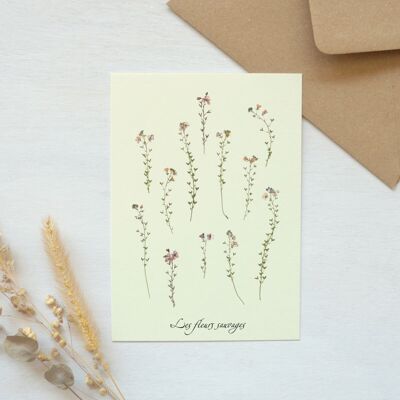 Nature postcard: Wildflower herbarium (envelope included)