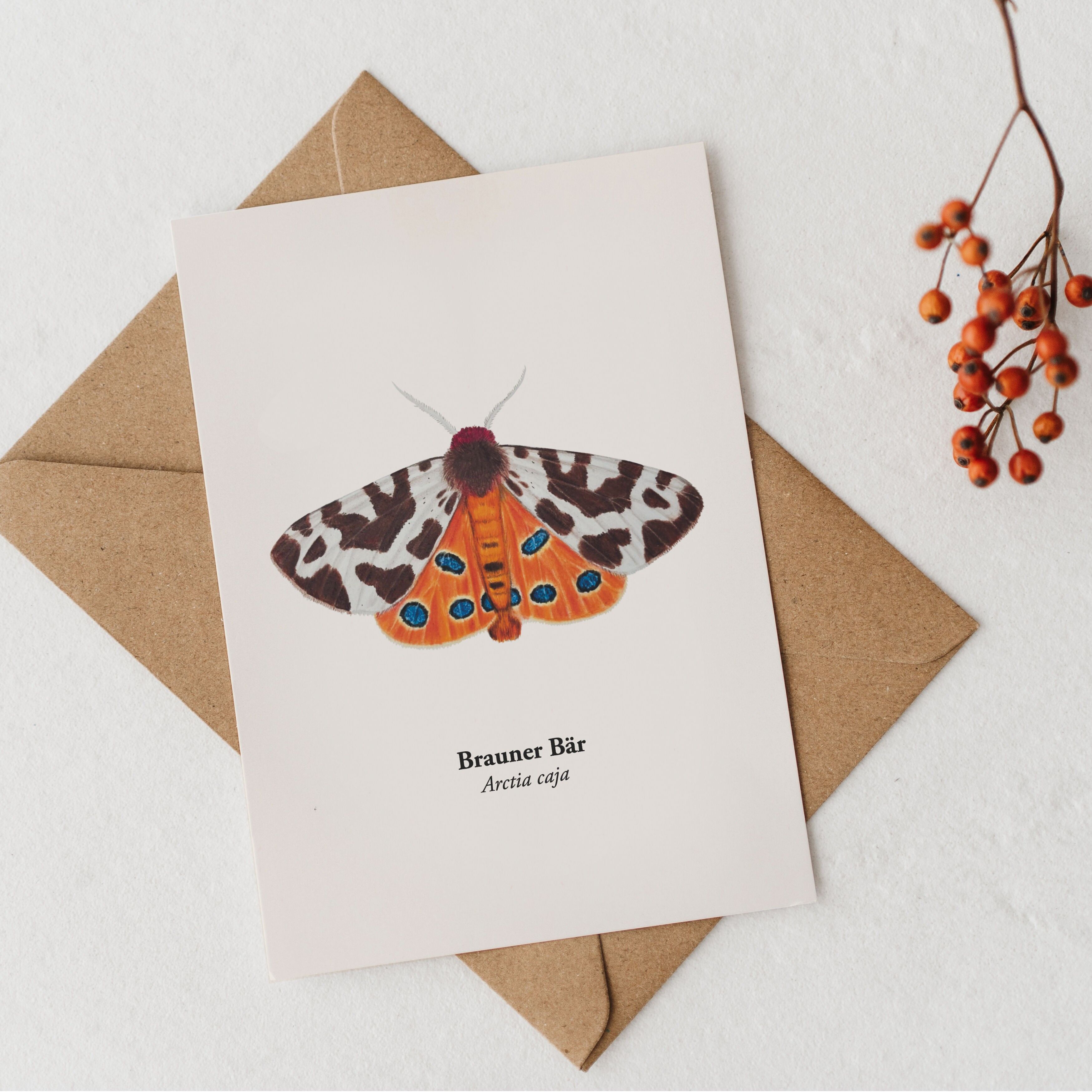 Cartolina Falena – Orso bruno (Arctia caja), Miniprint A6