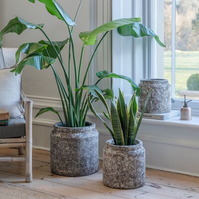 Kew Volcanic Texured Planter