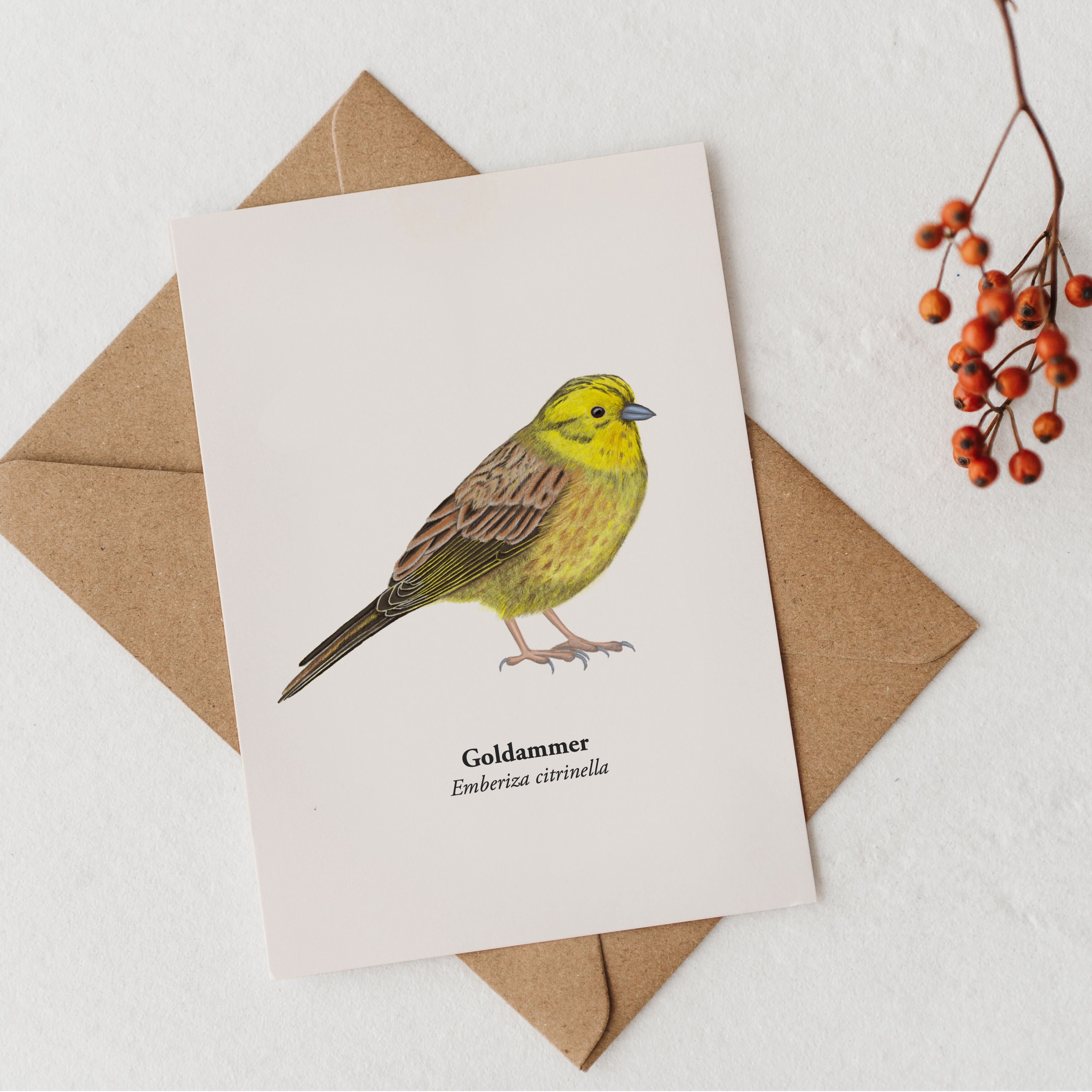 Bird postcard with goldfinch drawing, mini print A6 nature