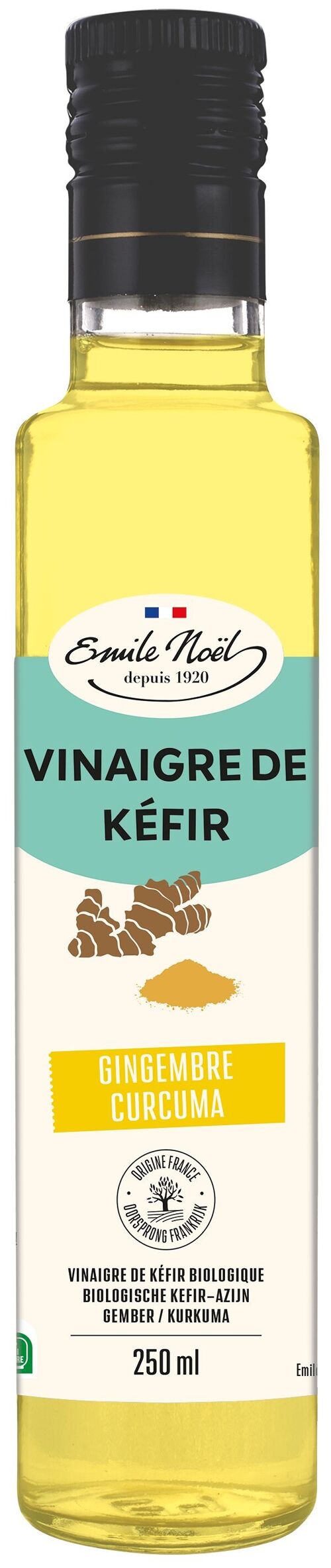 Vinaigre de kéfir gingembre et curcuma biologique 250 ML