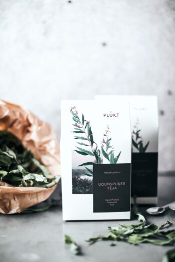 Tisane FIREWEED Thé | biologique, santé, bien-être, thé en vrac, boîte en carton 6