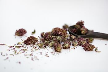 Tisane TREFLE ROUGE Thé | bio, santé, bien-être, thé en vrac, thé aux fleurs 4