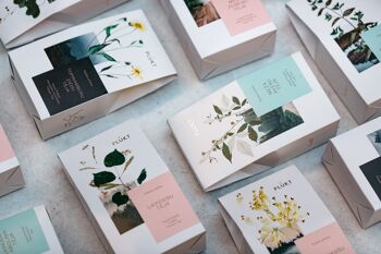 Tisane Cowslip Tea , bio, thé aux fleurs, thé en vrac 7