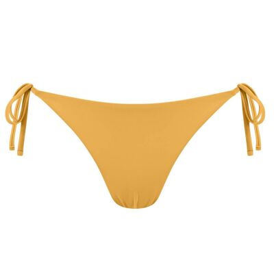 Chlamys Varia Bikini Tanga-Ámbar