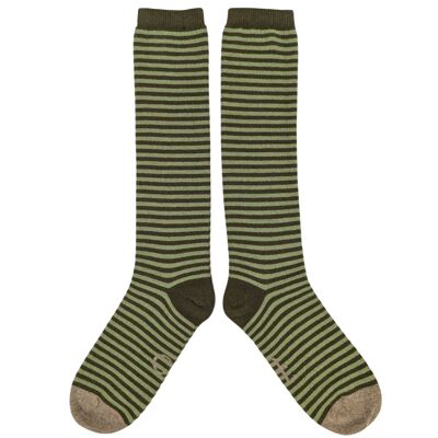 CALCETINES HASTA LA RODILLA - lana de cordero - mujer - rayas - verde - CAJA TALLA 3