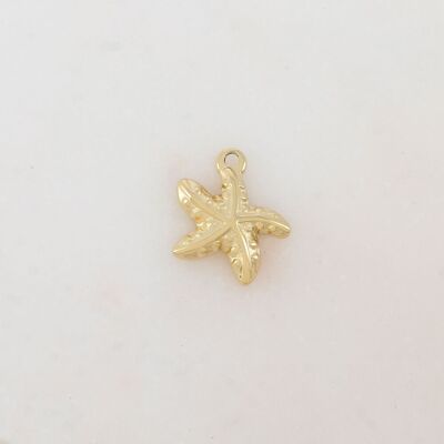 Colgantes de estrellas de mar texturizadas