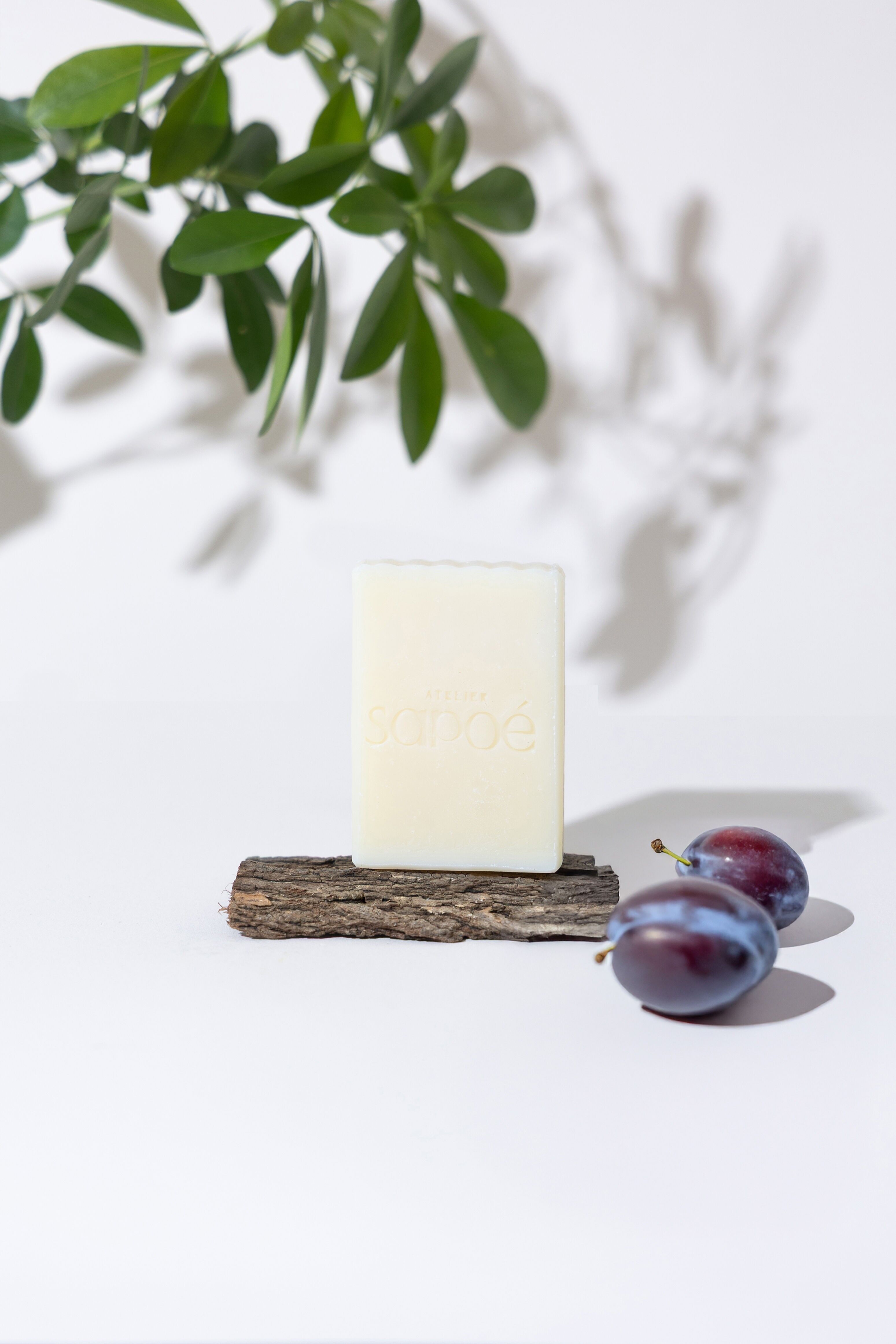 Sapone all'olio di prugna di Guascogna