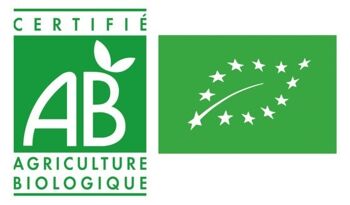 Herbe de Blé en Poudre Bio en Vrac - 250g 2