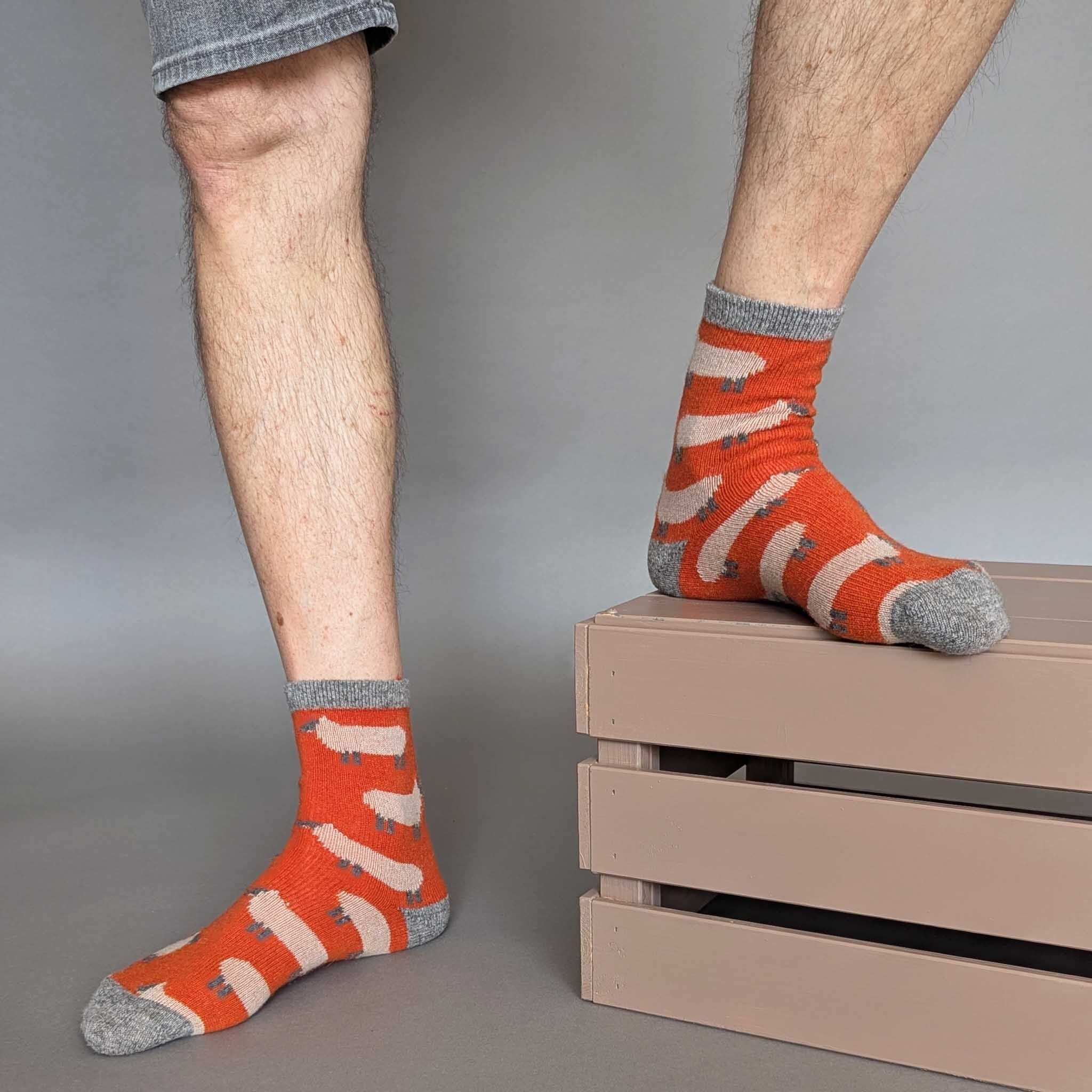 CHAUSSETTES - laine d'agneau - homme - mouton - orange - TAILLE DE LA BOÎTE 3