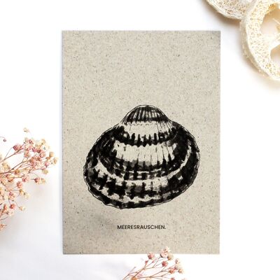 Greeting card made of grass paper, shell