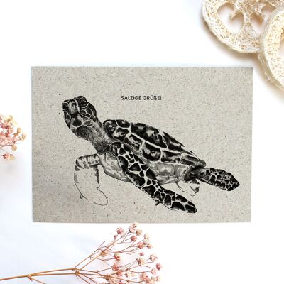 Grass paper greeting card, sea turtle