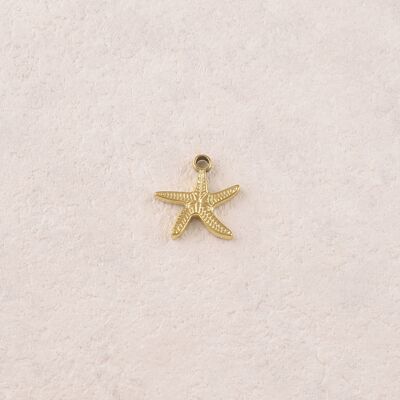 Colgantes de estrellas de mar texturizadas