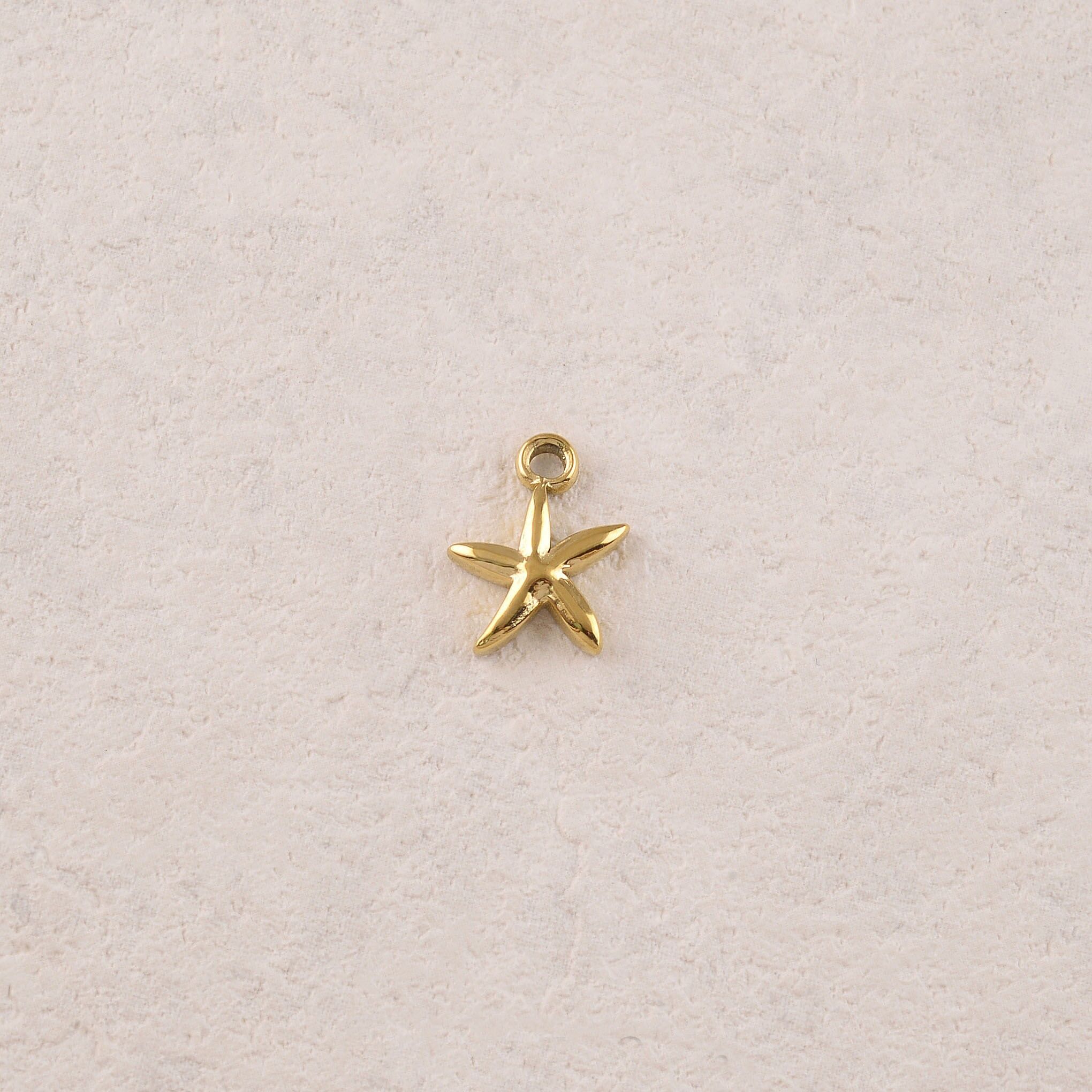 Ciondoli a forma di stella marina con effetto liscio