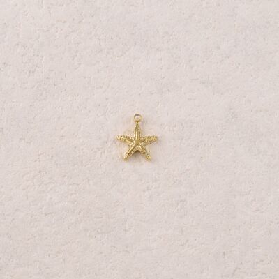 Colgantes de estrellas de mar