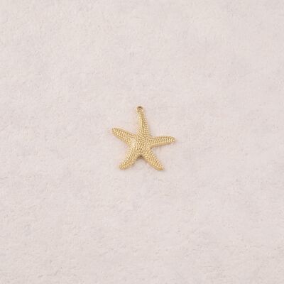 Colgantes de estrellas de mar texturizadas