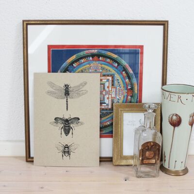 Impression d'art DIN A4, insectes