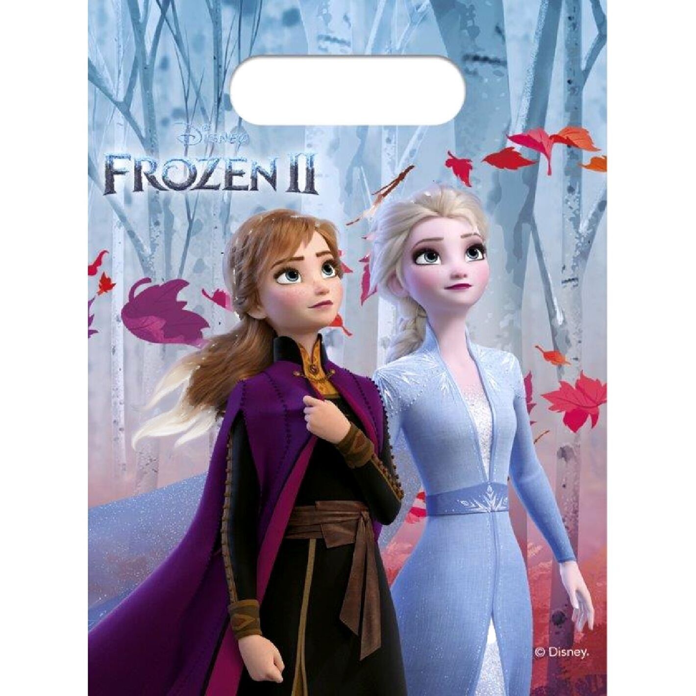 Frozen 2 Party Bags 6 pieces