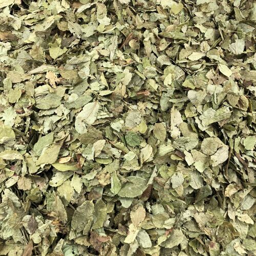 Myrtille Feuilles Bio en Vrac - 50g