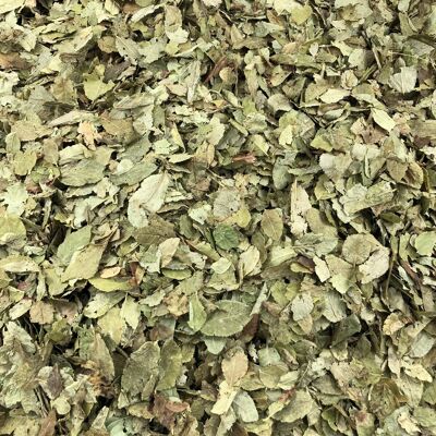 Blueberry Leaves Organic Bulk - 250g