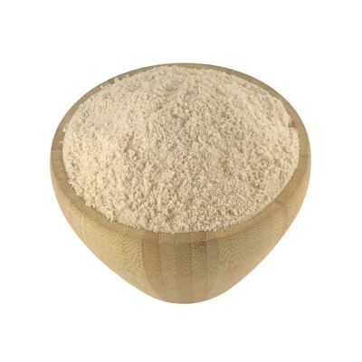 Integumento de psyllium rubio orgánico a granel - 500g