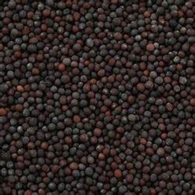 Semi di Senape Nera Sfusi Biologici - 125g