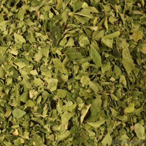 Moringa Feuilles Bio en Vrac - 125g